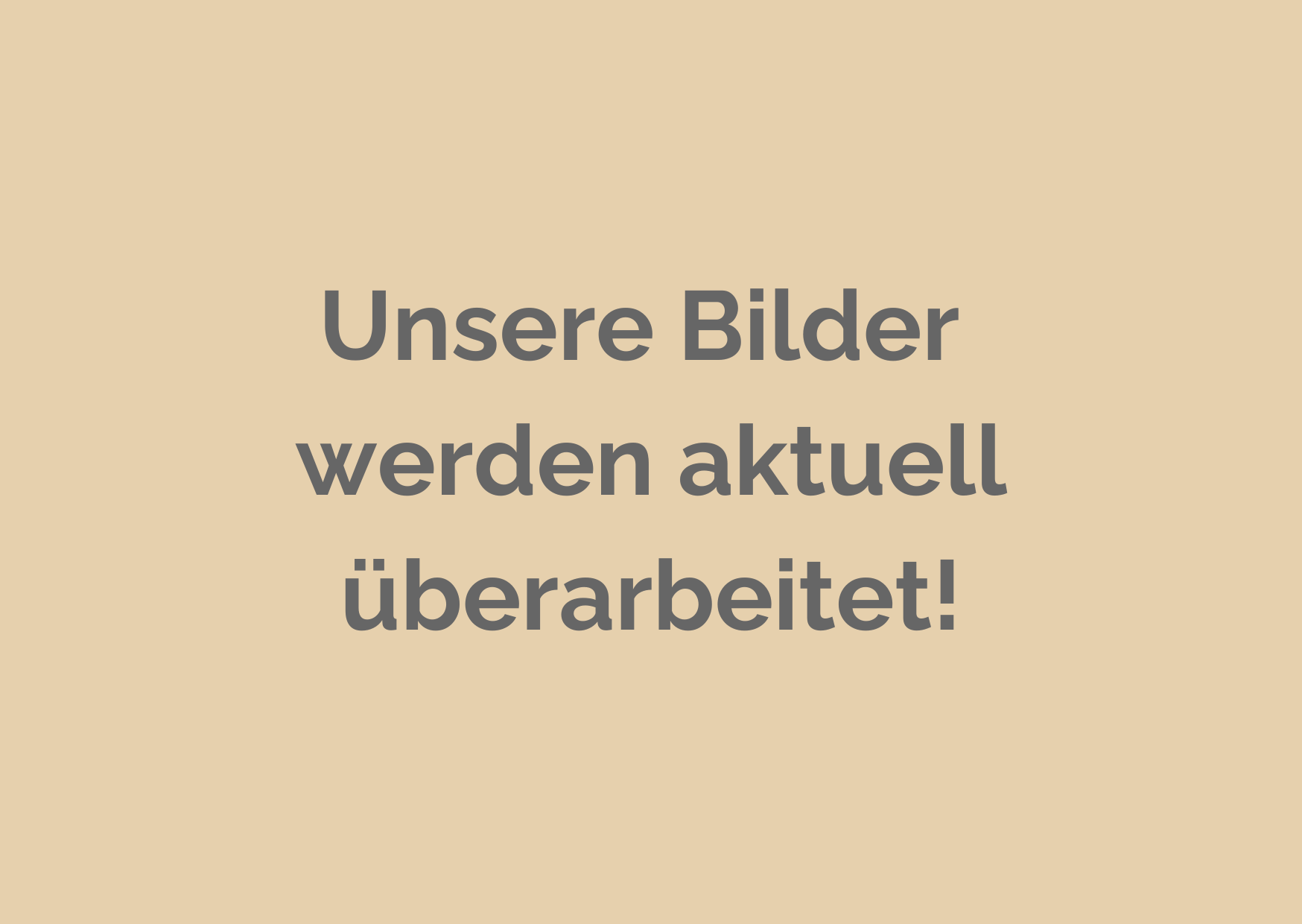 Die Orsons Bauen Eine Schaukel